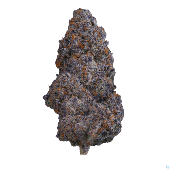 Lemon Cherry Gelato: Scoop of Sunshine