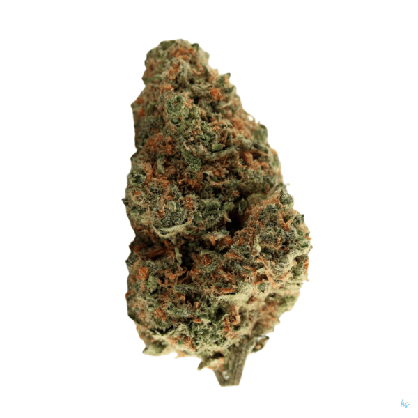 Super Haze: Sativa’s Sweet Spot