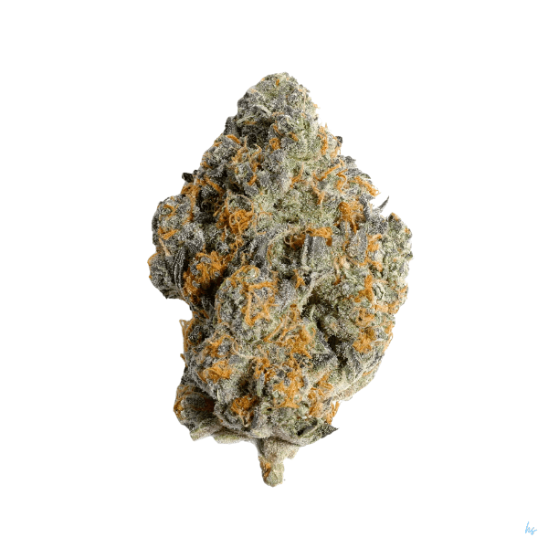 GMO Pancakes: The Strain That Stacks Up